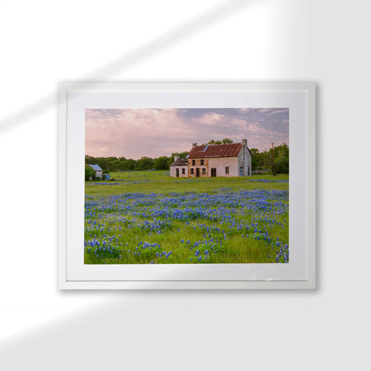 Framed print with white mat and white frame showing rustic house in field of blue wildflowers, horizontal orientation, soft sunset sky, displayed on light wall.