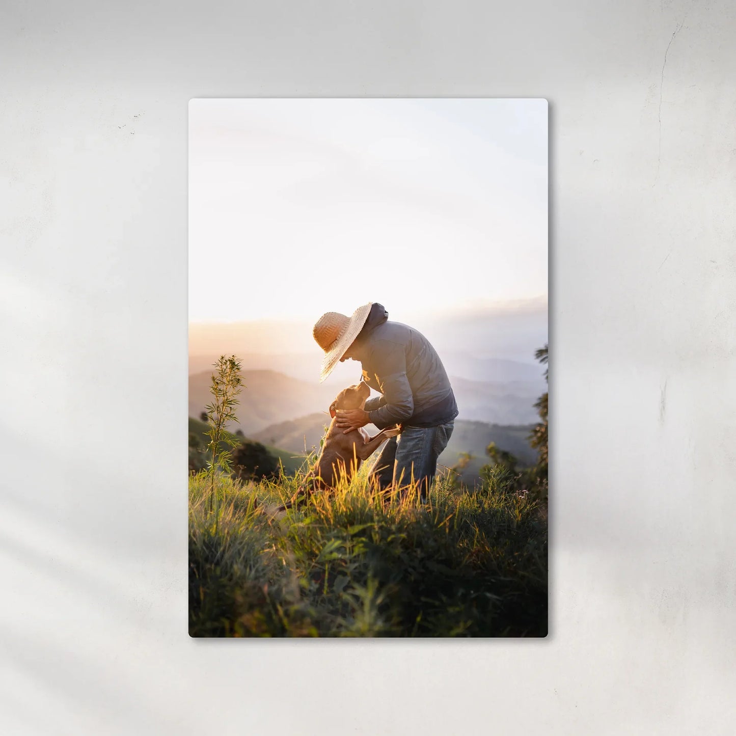 Metal wall decor print featuring a person wearing a hat bending toward a dog in a grassy hillside setting during warm sunset light.